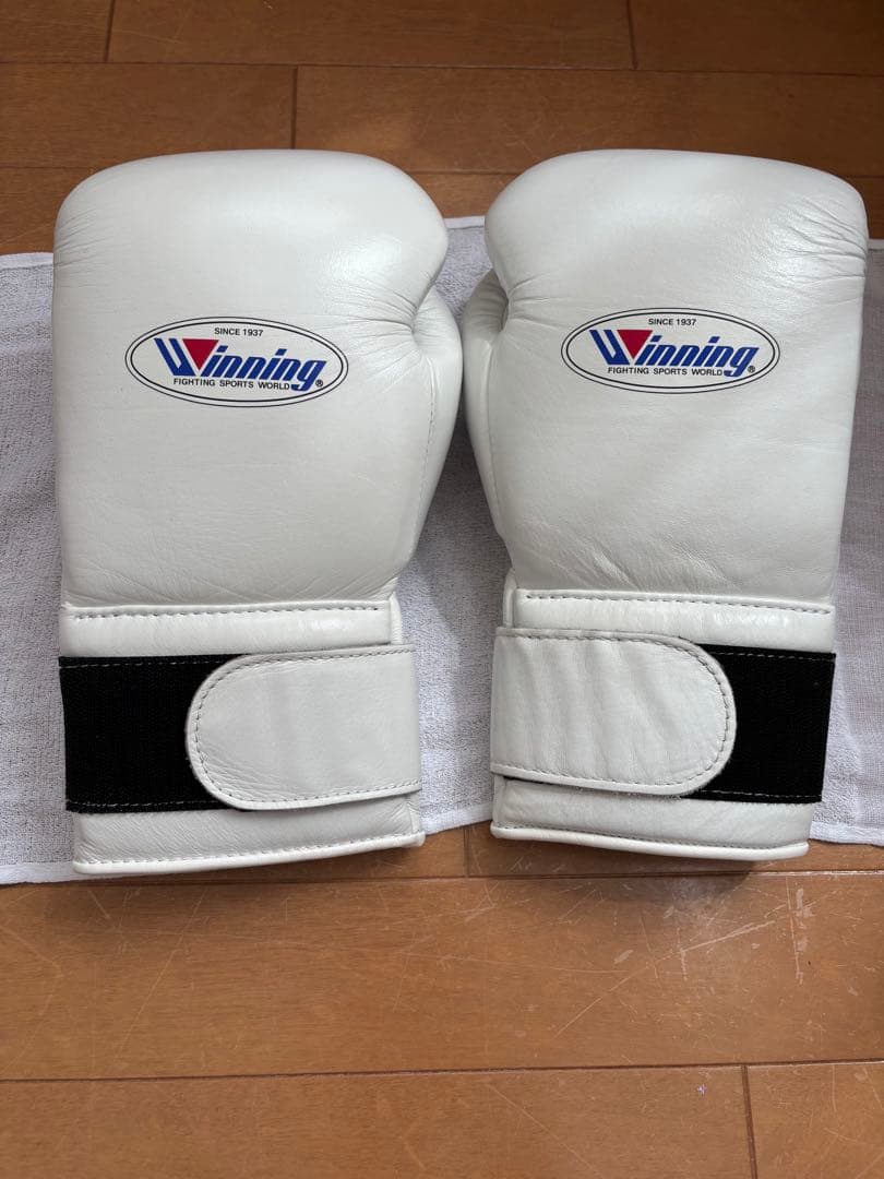 ボクシング ファールカップ 女性用 ローブローガード winningGL-35