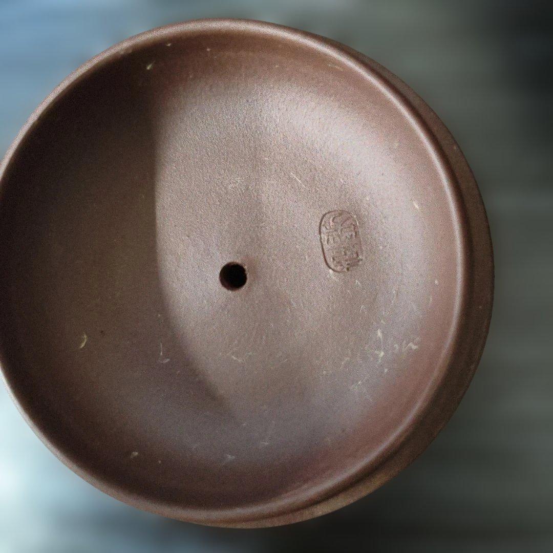 宜興紫砂壺】国家工芸師儲韋芳製 中国紫泥茶壺 Yixing Teapot