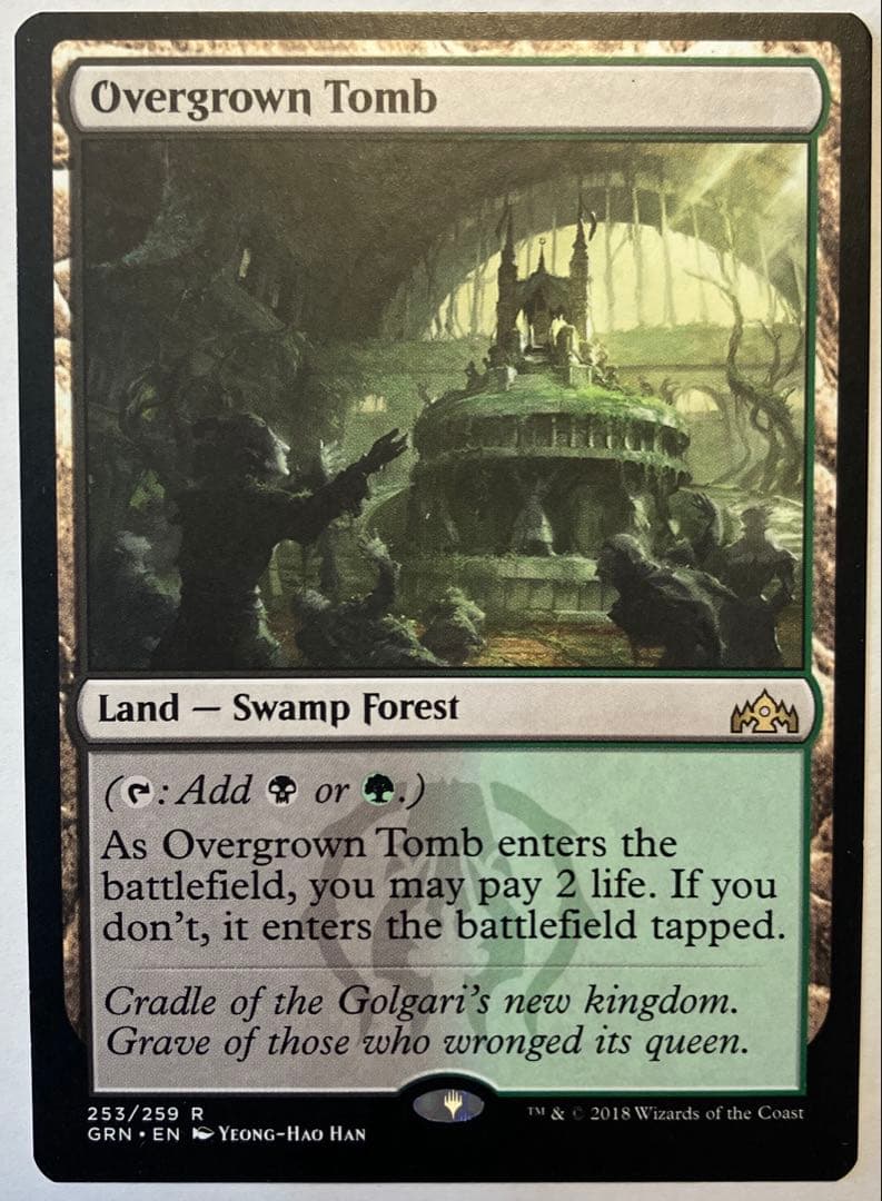 草むした墓/Overgrown Tomb 英語一枚 - メルカリ