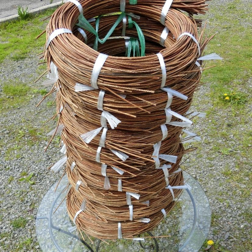 mk　青森県岩木山採取　あけび蔓　150cm～　10kg