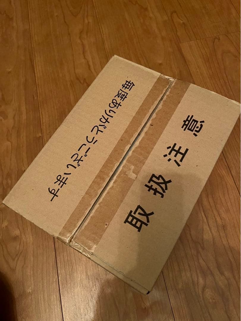 【稀少】タカラ 少年サイボーグVSキングワルダーJr. 復刻版（未開封）