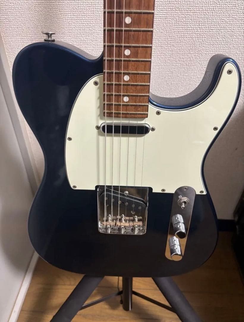 Momose テレキャスター　MTL1-STD/NJ DLPB モモセ　ギター