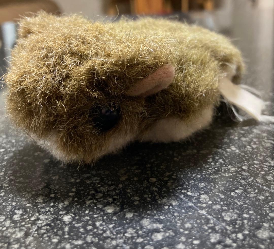 ALFA社NATURE LAND ムササビのぬいぐるみセット