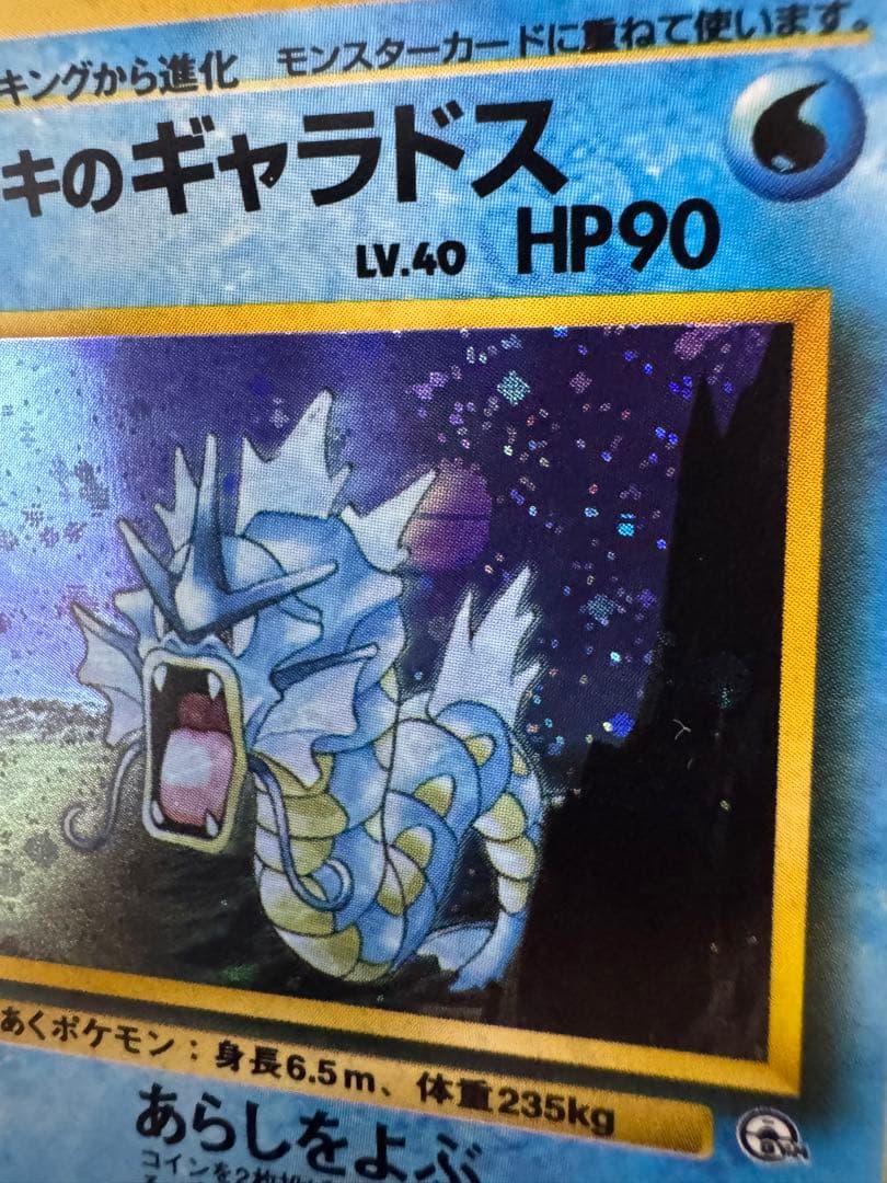 【旧裏】サカキのギャラドス ★ ジム拡張第2弾 闇からの挑戦