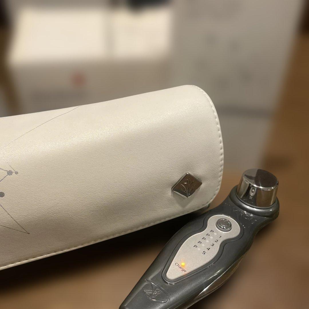 エンビロン エレクトロソニック 美顔器 DF モバイル スキンケア