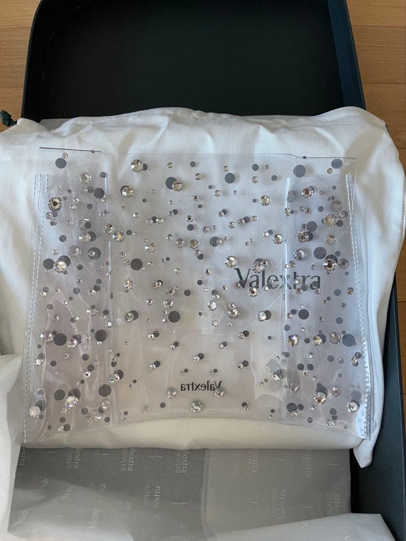 ヴァレクストラ　イジィデミニ　レインコート