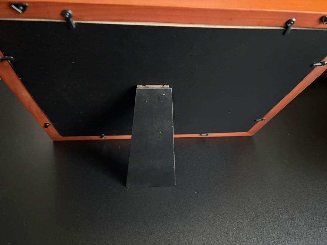 ポケパーク ピンバッジ コンプリート セット ポケモン