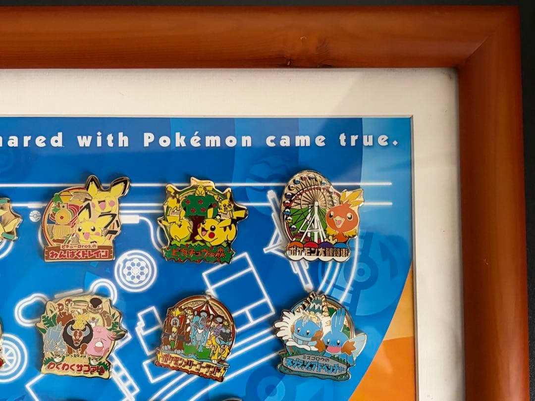 ポケパーク ピンバッジ コンプリート セット ポケモン
