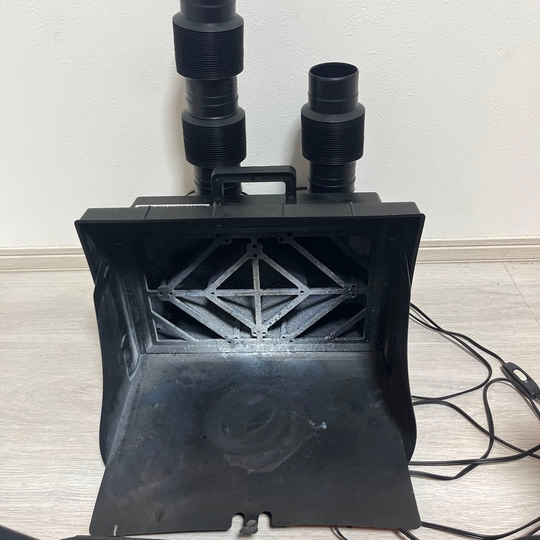 Bucephalandra sp. noble GT-toricolor タグ付