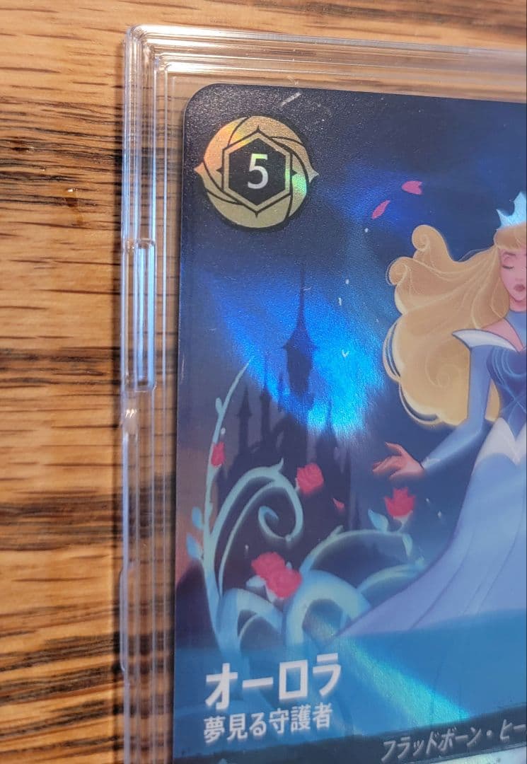 ディズニーロルカナ　エンチャンテッド オーロラ