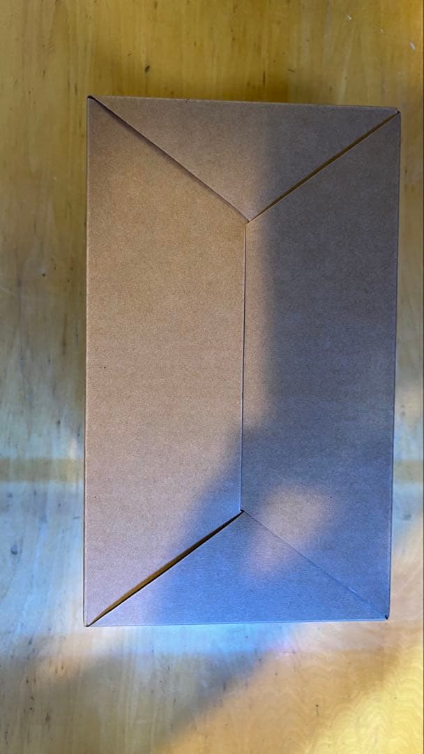 デフォリアル ゴジラ2023 少年リック限定版　未開封