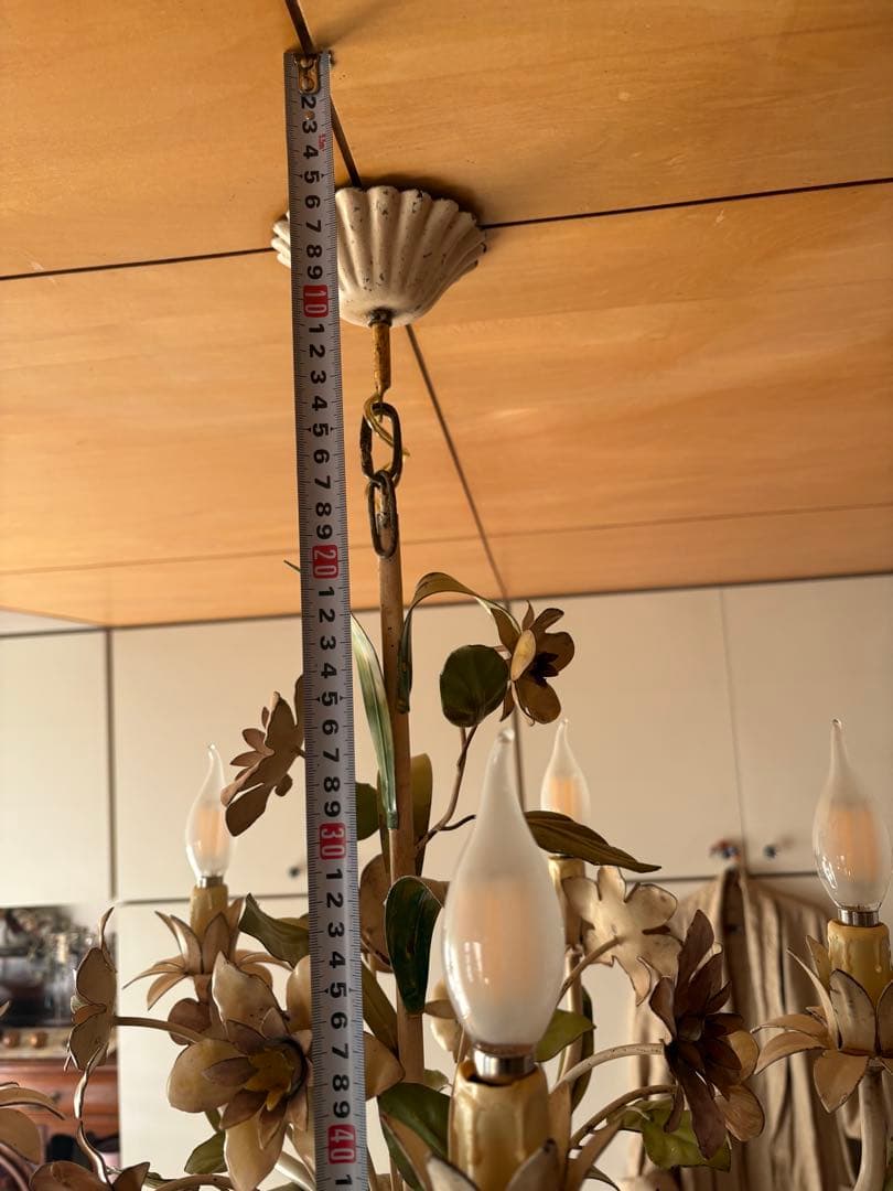 フランス アンティーク アイアン フラワーモチーフ 5灯シャンデリア