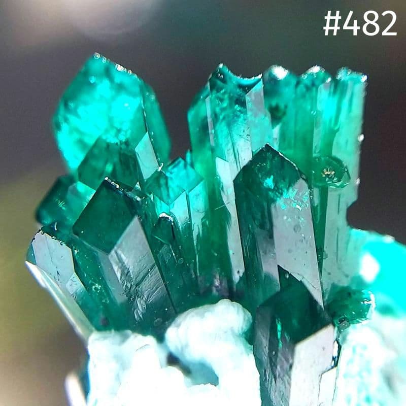 482 ダイオプテーズ 翠銅鉱 クラスター コンゴ産 482 ダイオプテーズ 翠銅鉱 クラスター コンゴ産