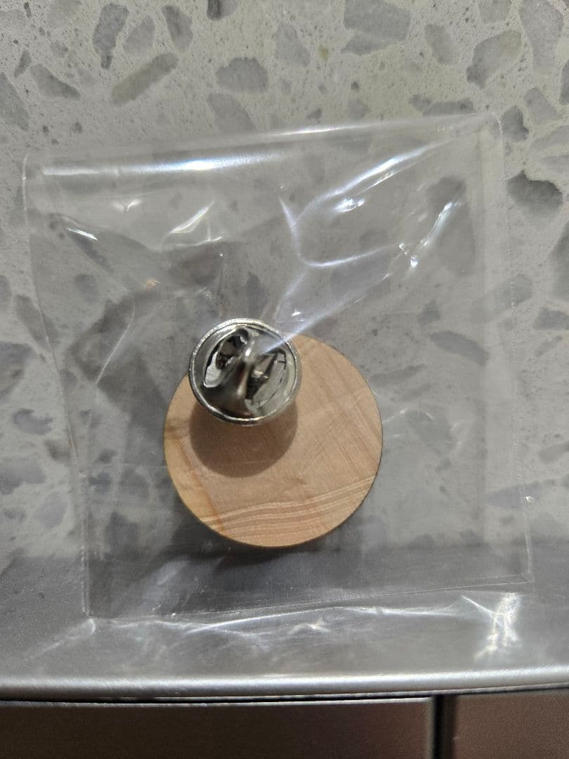 超希少　大阪・関西万博いのちめぐる冒険　限定ピンバッジ+サイン入りクリアファイル