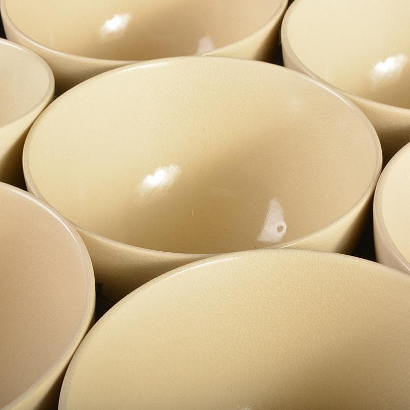 京焼 平安原平造 色絵金彩 仁清写 雲錦 数茶碗 十客 共箱