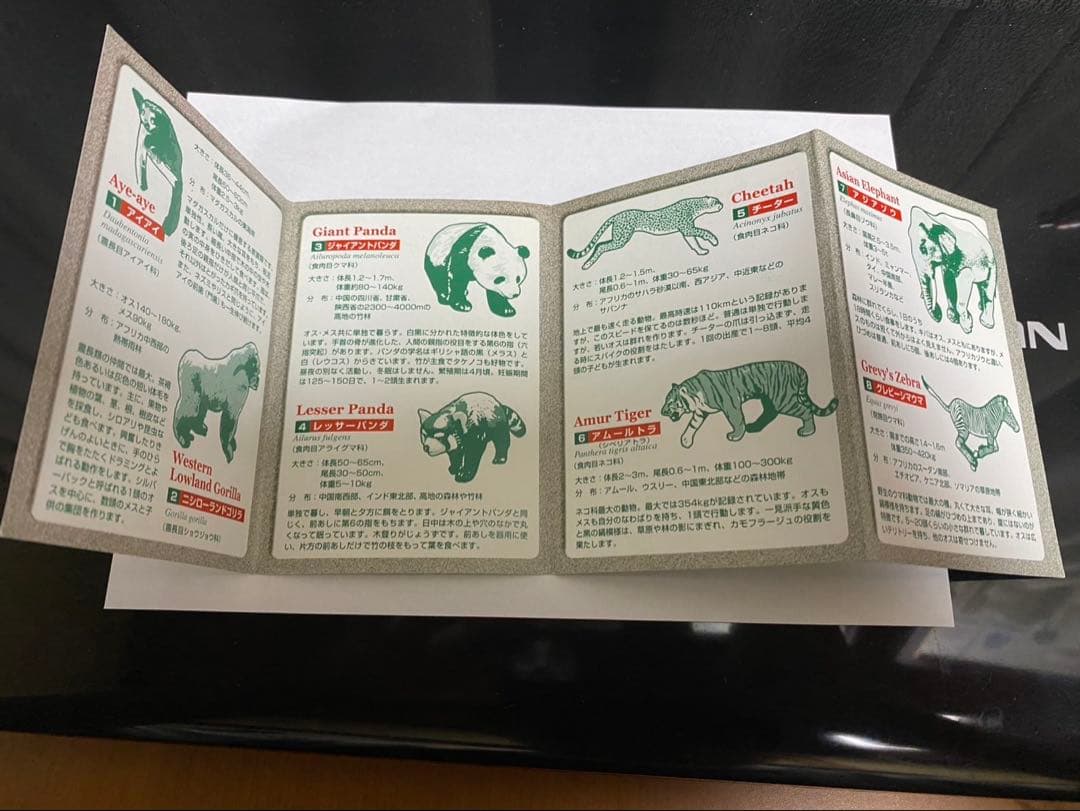 カロラータ　エンデンジャード・アニマルズ・ボックス　フィギュア(即購入可能)