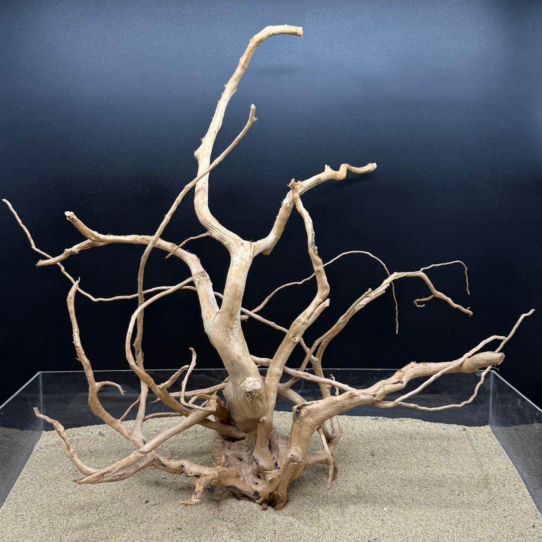 MDW-6578 ブランチウッド 流木 枝流木 アクアリウム MDW-6784 特大