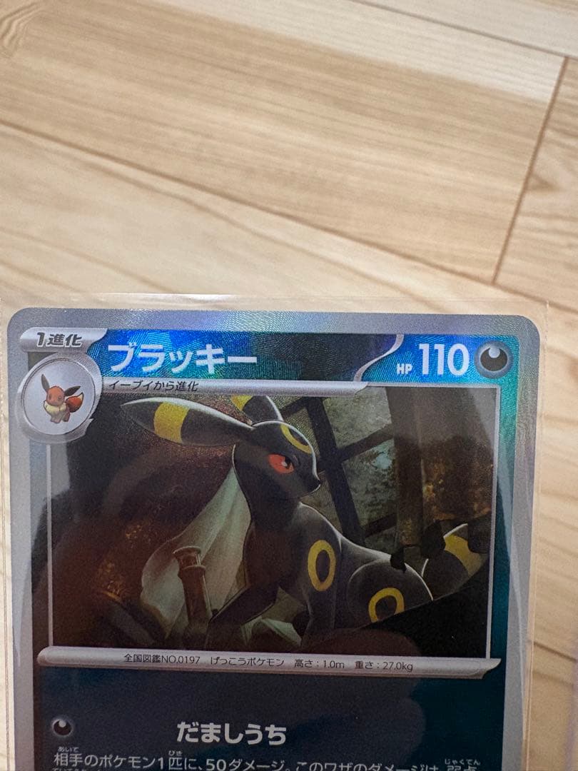 ブラッキー マスターボール