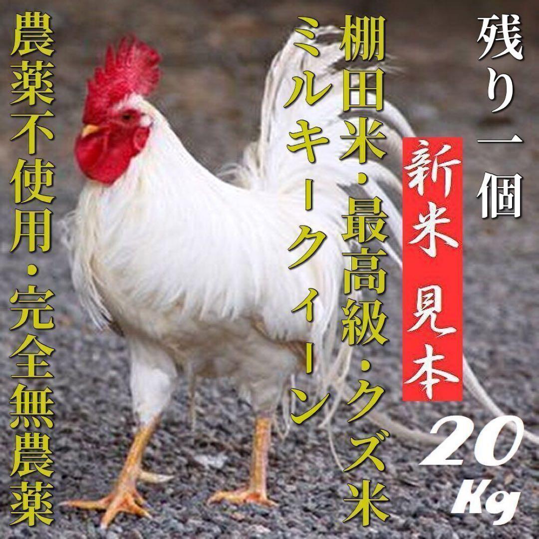 自然栽培／完全無農薬】鳥のエサ・増量大人になれなかった米くず米20kg