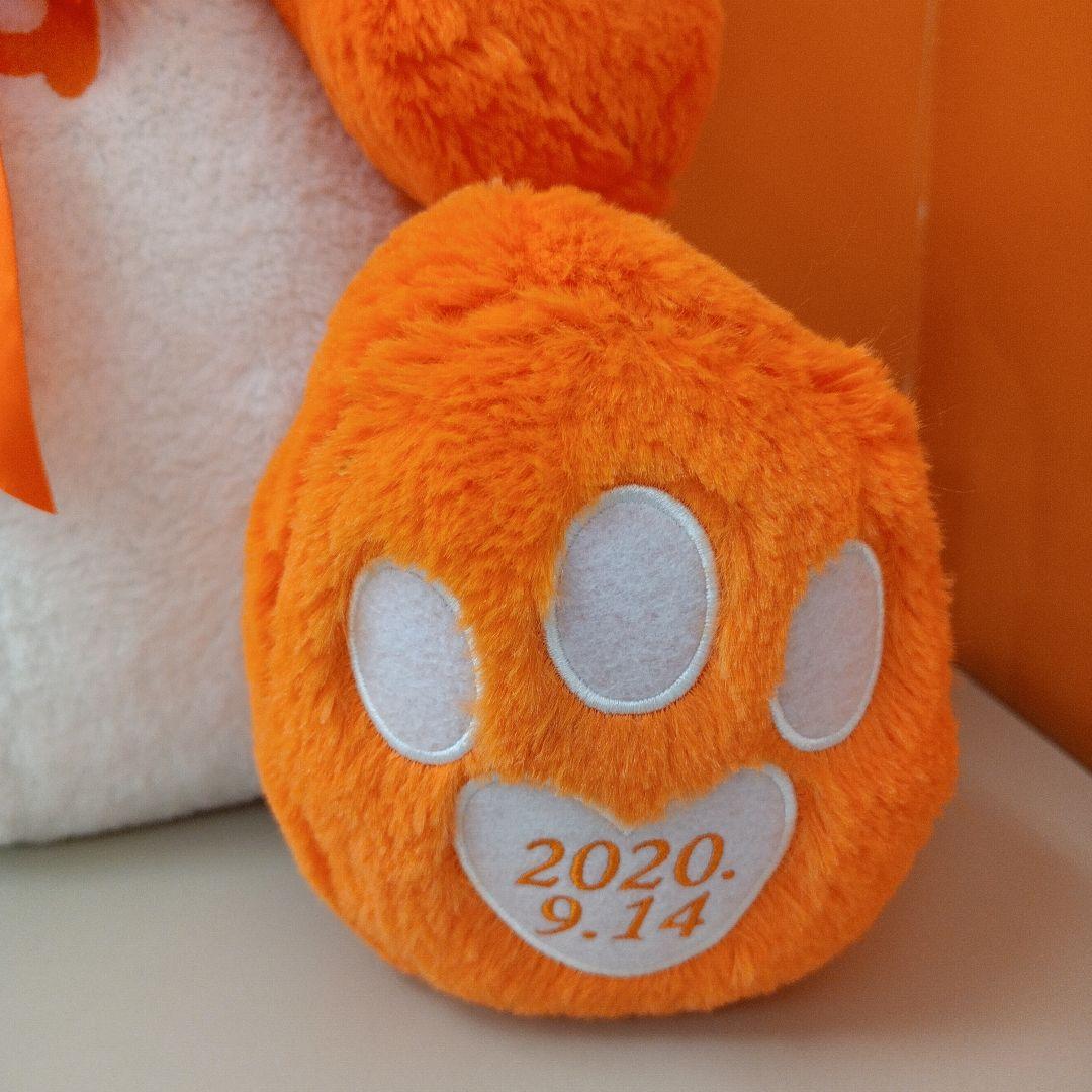 AAA 15th Anniversary え～パンダ BIGぬいぐるみ 西島隆弘 - メルカリ