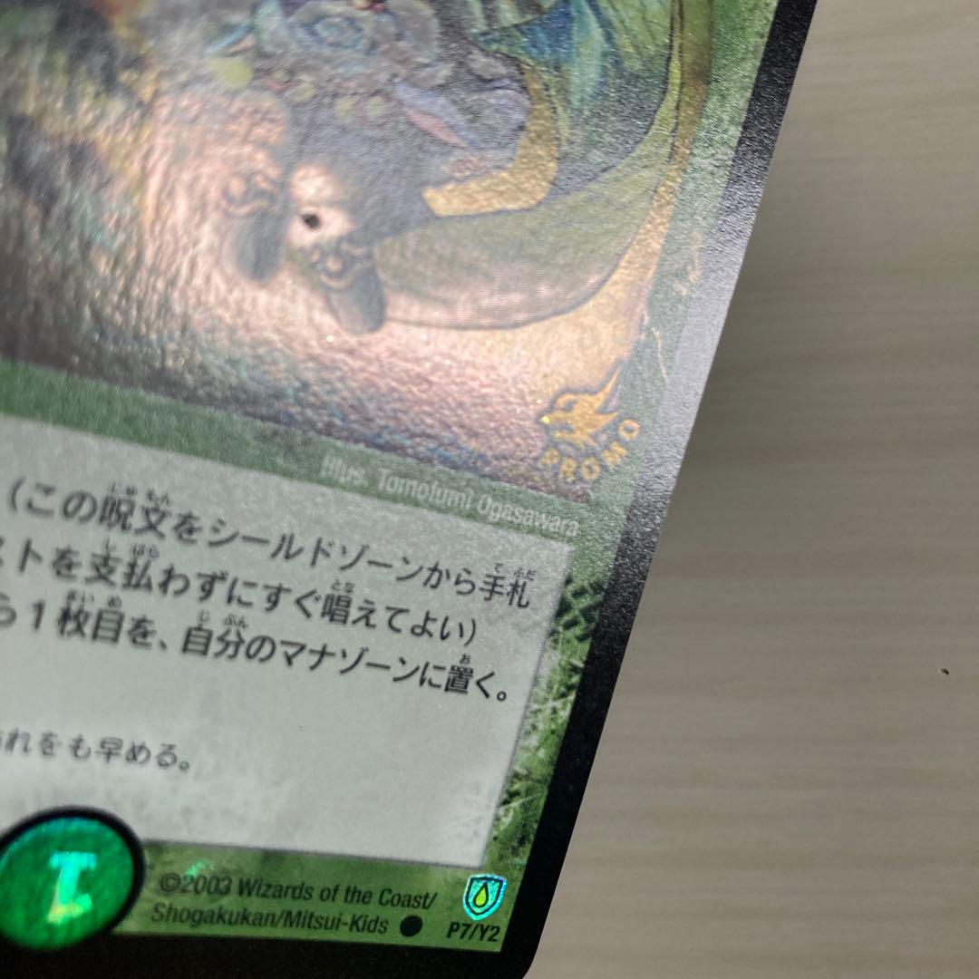 メルカリ便 フェアリー・ライフ フェアリーライフ 初期 ホイル プロモ