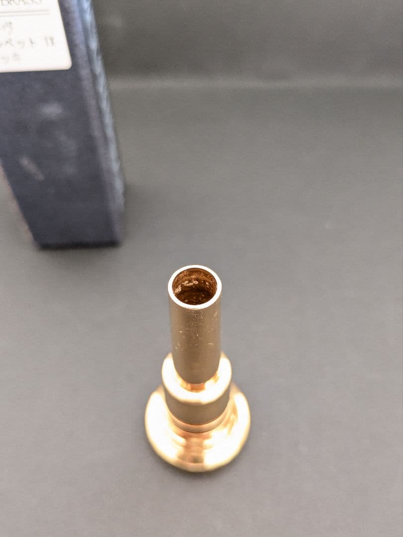 BEST BRASS グルーヴトランペット 1X マウスピース金メッキ