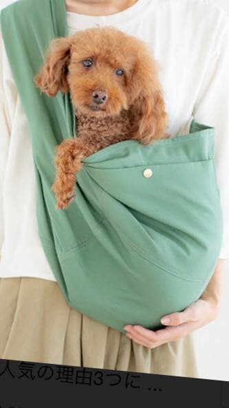 erva ドッグスリング Type2 工場 Mサイズ erva ドッグスリング type2 M