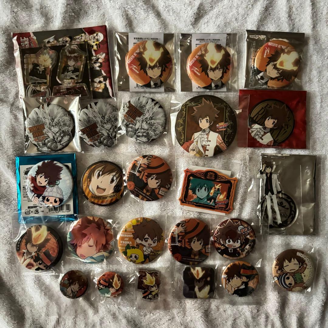 沢田綱吉 缶バッジセット 予約商品3月中旬発送】家庭教師ヒットマンREBORN! アート缶バッジ＿