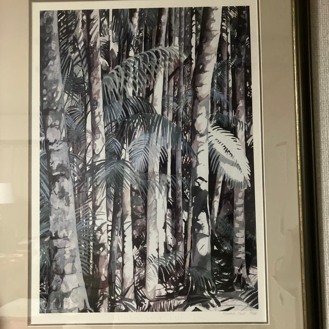 Miread M. Platt 水彩画 ジャングル植物