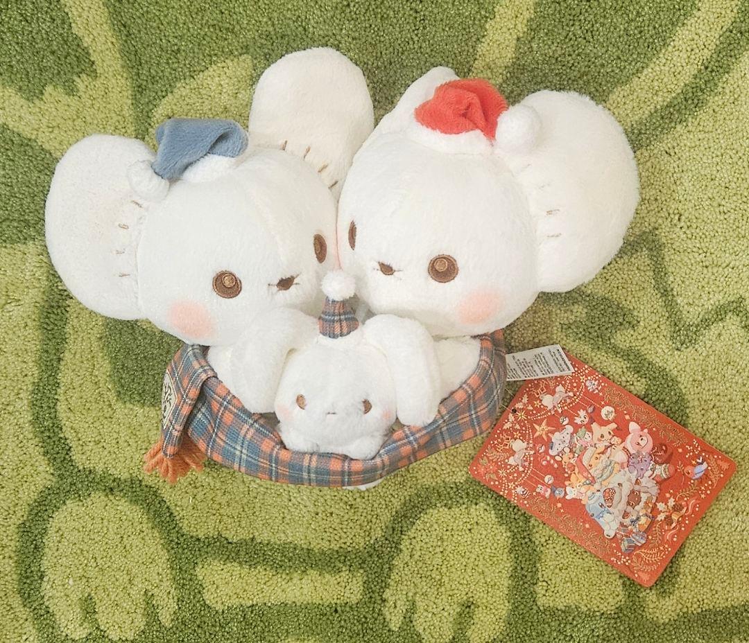 Pokémon Heartwarming Christmas イッカネズミ