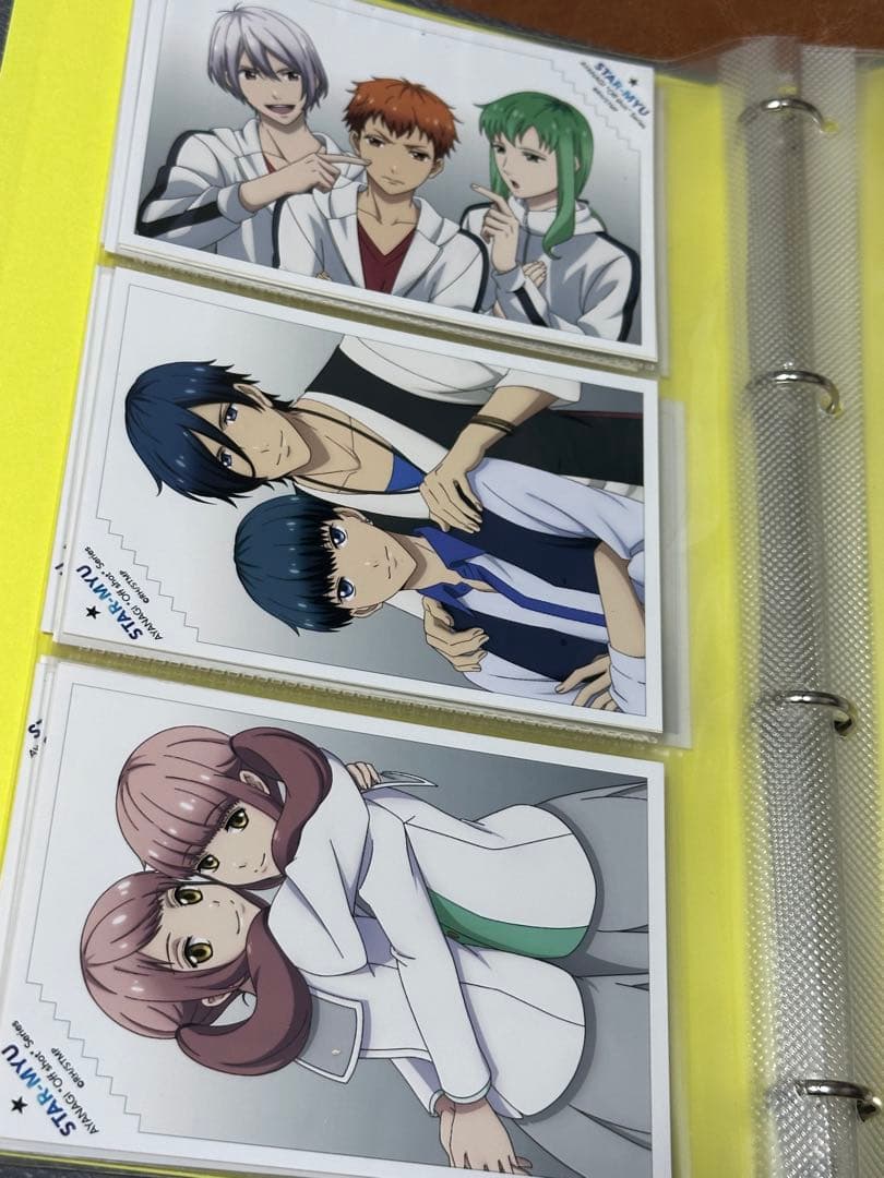 アニメイトガールズフェスティバル スタミュ 2016 ブロマイド バインダー付き