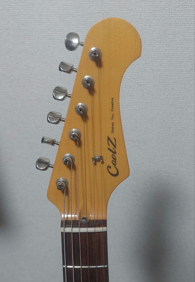 CoolZ ZST-V/R フジゲン（FGN )製