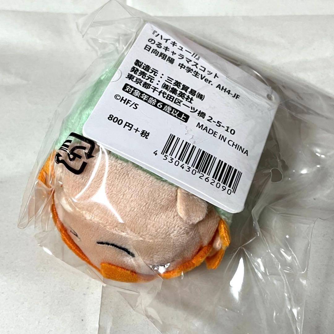 ハイキューのるキャラ日向(中学生)