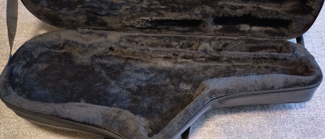 テナーサックスケース　GATOR