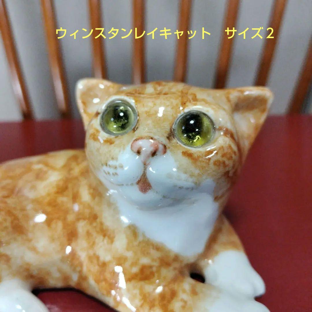 ラブリ〜、ウィンスタンレイキャット（ケンジントンキャット）サイズ2
