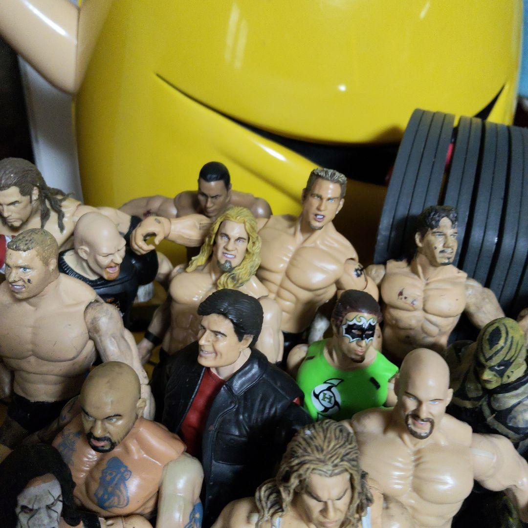 プロレス　フィギュア wwe wwf ロック　ストーンコールド