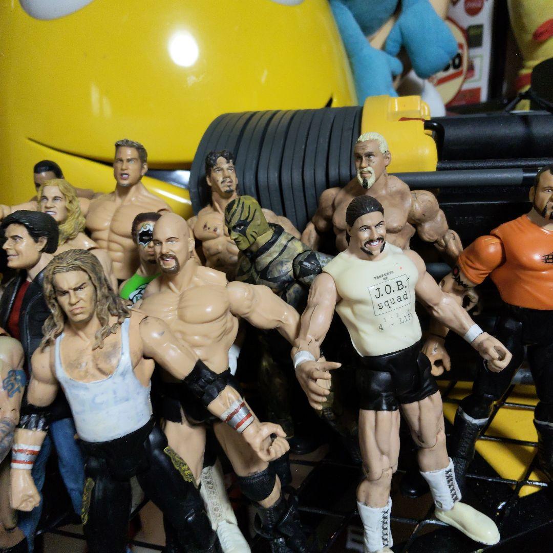 プロレス　フィギュア wwe wwf ロック　ストーンコールド