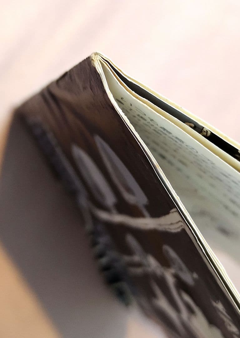 【レア】YAMAHA ヤマハ SG エレクトリックギターオーナーズマニュアル