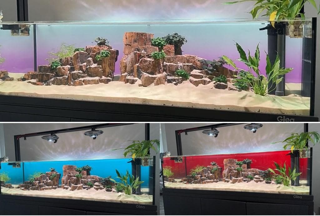 b2l63】2色カラーLEDライトスクリーン OFF黒 60cm x 36cm