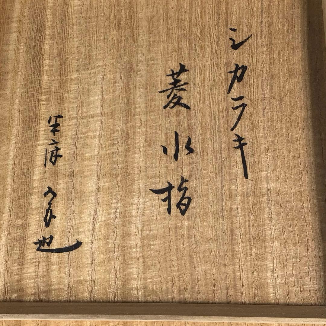N244菱水指『信楽焼』『保庭楽入造』『久田宗也尋牛斎箱書』共箱