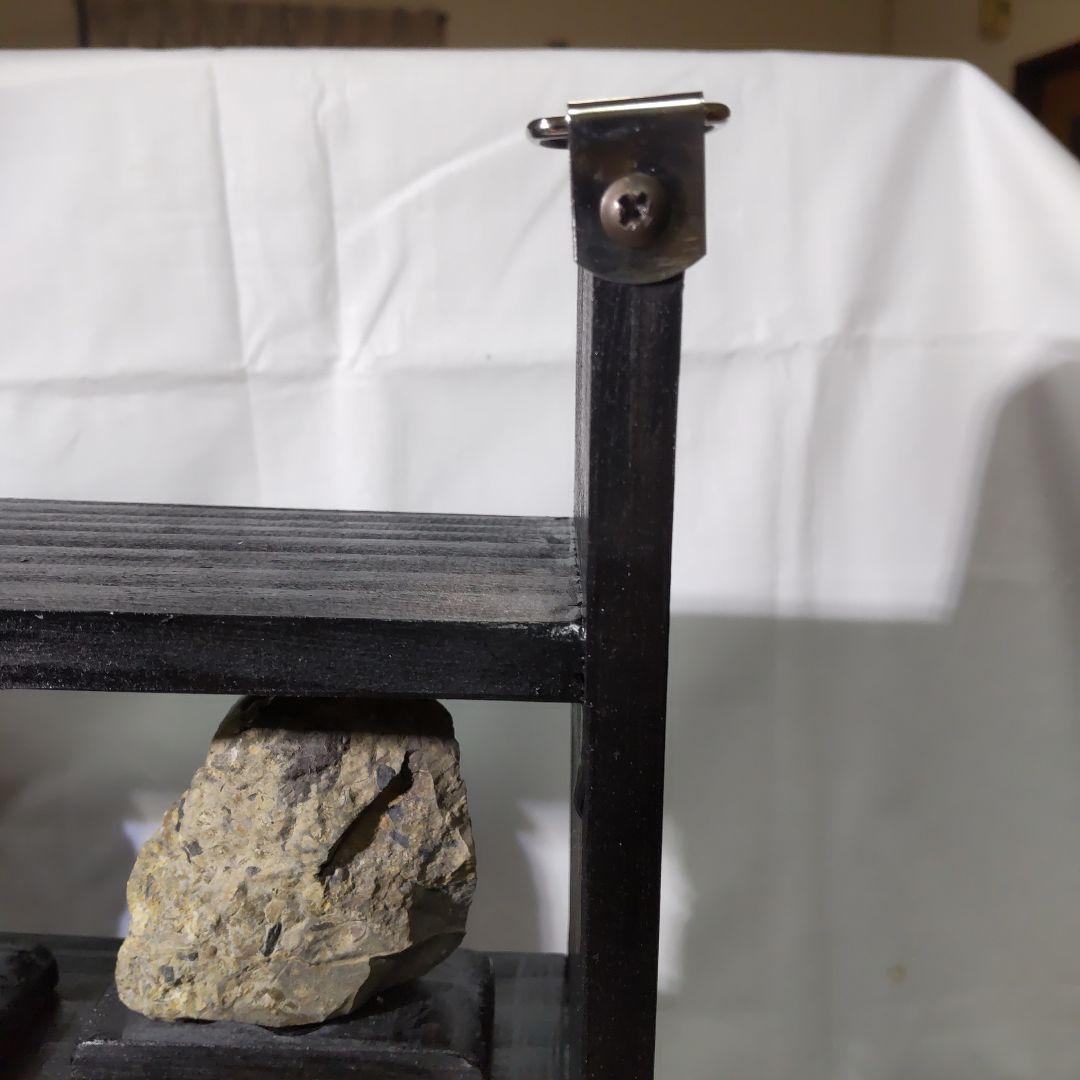 北海道アンモナイト化石、飾り棚に収納した１２点＋資料４点＋おまけ２点