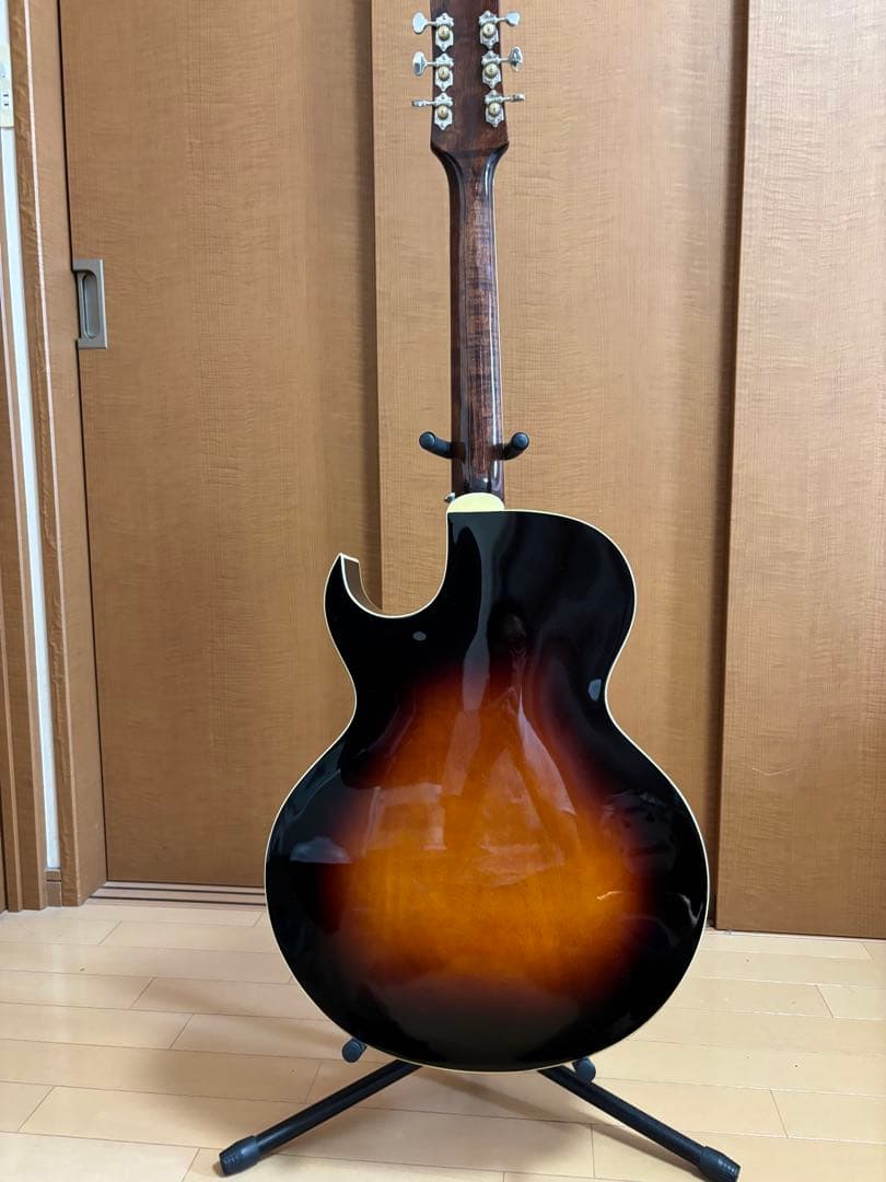 い*の様 最終値下げ‼️ 美品‼️ LOAR LH-350 新品ハードケースセッ