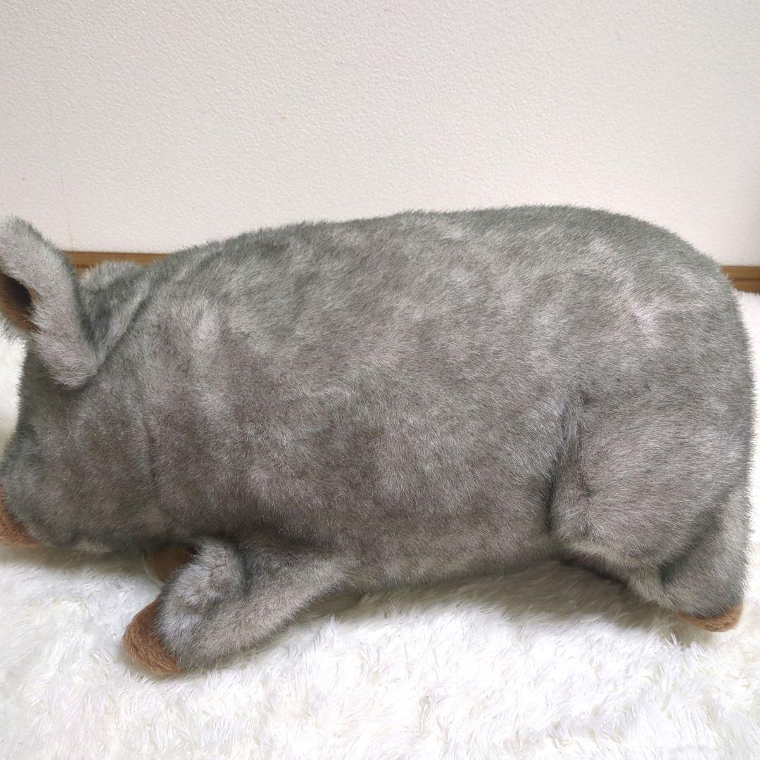 廃盤】トイザらス リアルぬいぐるみ ブタ animal alley - メルカリ