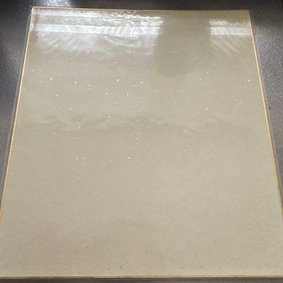 プリンセスプリンセス 直筆サイン色紙 90年代レア - メルカリ