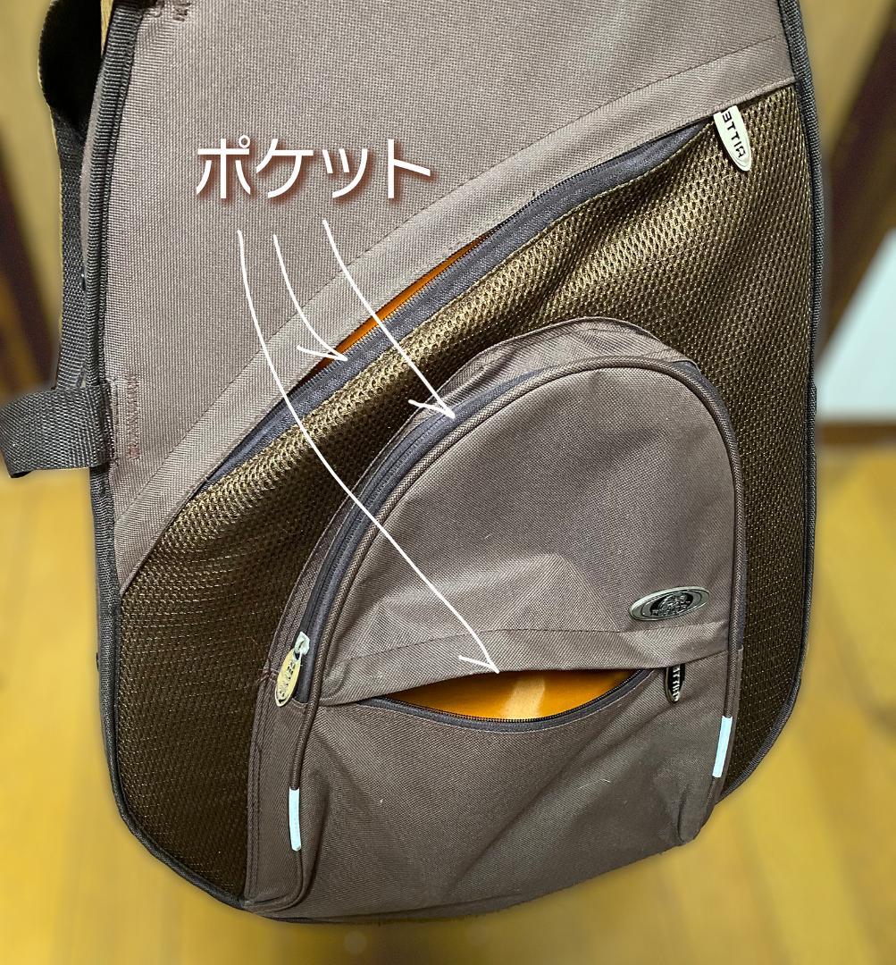 更に値下げいたしました！Jagard（寺田楽器）JD-25M