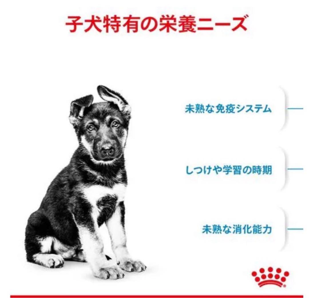 ロイヤルカナン マキシパピー 16kg 大型犬 子犬用※新品未開封 - メルカリ