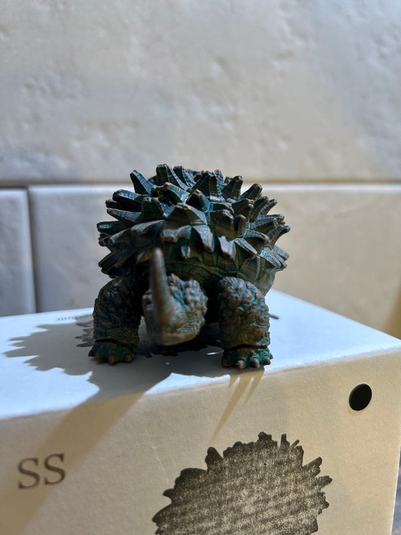 OZWRT✖️長谷川ナーセリー デオスコレア・エラスモテリウム