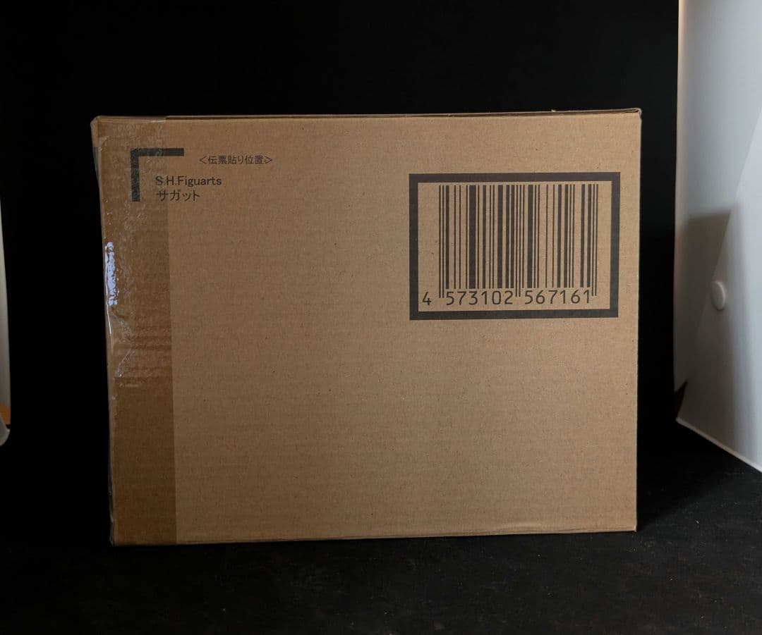 S.H.Figuarts フィギュアーツ　サガット