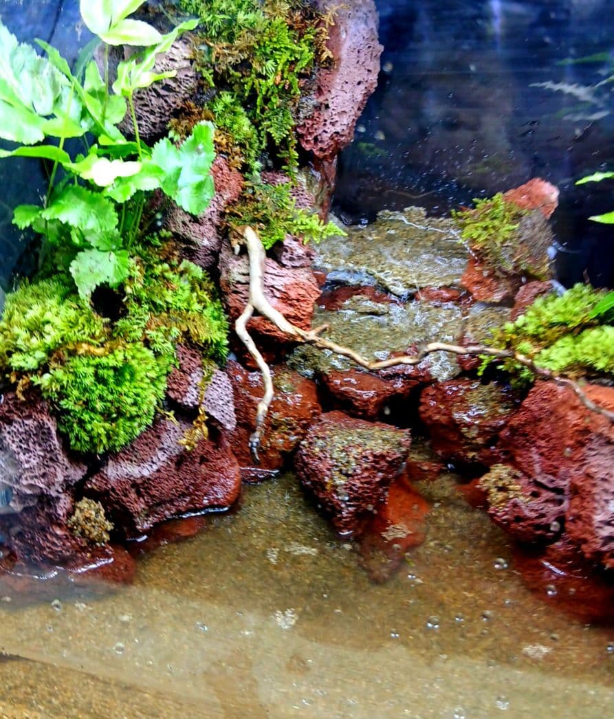 アクアテラリウム 滝 完成品 GEX 赤溶岩石レイアウト - メルカリ