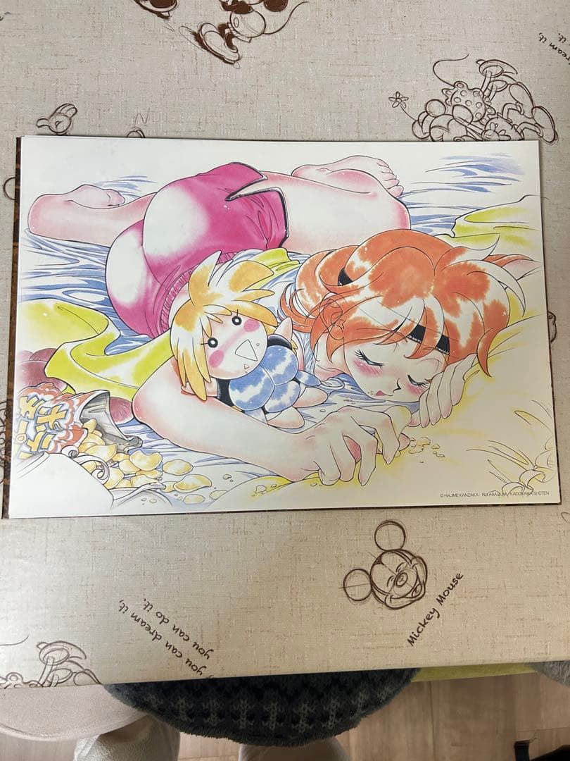 スレイヤーズ　SLAYERS あらいずみるいイラスト6シートセット